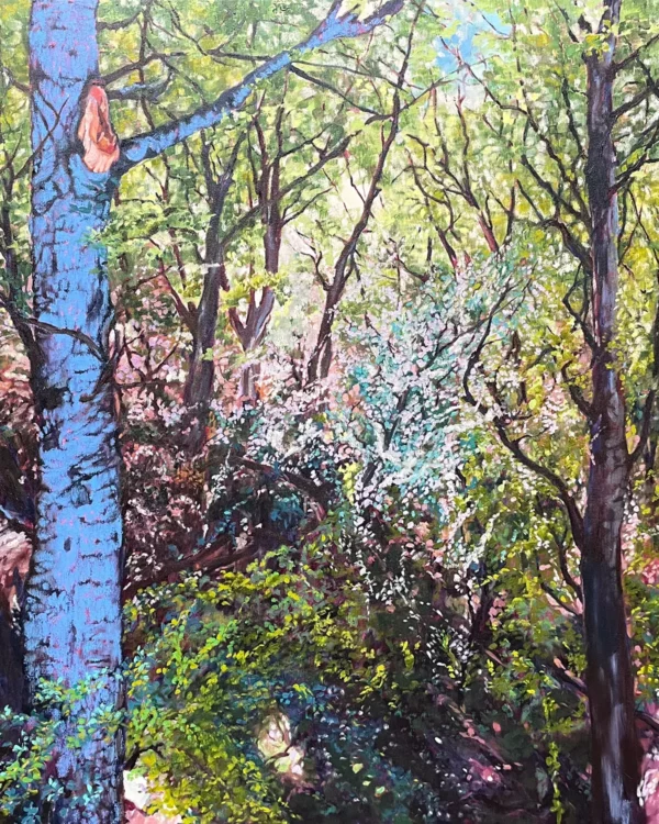 Into the Woods at Thabo Mofutsanyana